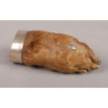 A George V silver mounted taxidermy otter paw brooch. Assayed Birmingham 1912 by LT Richardson. 9.