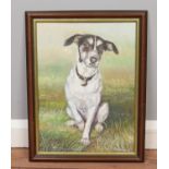 Dennis Barron, framed oil on canvas study of a dog, 39.5cm height 29cm width