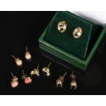 Five pairs of stud earrings. Includes citrine, coral, jet etc.