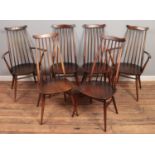 A set of six Ercol dining chairs. Including two carvers.