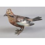Franz Bergman (1898-1963), a cold painted bronze model of a Jay. With factory stamp, marked and