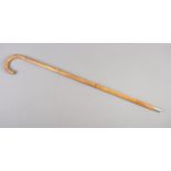 A white metal topped bamboo walking stick, containing horse measurer.