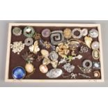 A tray of over forty costume brooches and clips.