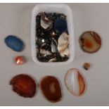 A quantity of loose gemstones. Including tigers eye, agate slices, etc.