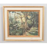 After David Gauld (1865-1936) a framed oil on board, landscape scene with trees. 35cm x 43cm.