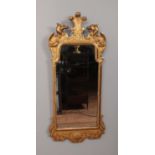 An ornate gilt framed mirror featuring pair of pheonix heads. Approx. dimensions including frame