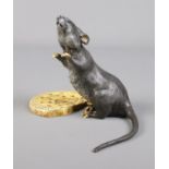 A cold painted bronze model of a rat with a Cao Biscuit. Bearing Franz Bergman stamp.