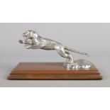 A vintage Desmo white metal car mascot formed as a Jaguar, raised on mahogany plinth. Length of