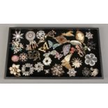 A large tray containing a good selection of costume jewellery brooches (approximately 34).