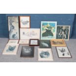 A large quantity of pictures and prints, to include several depicting cats. Includes framed