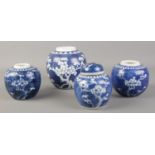 Four blue and white prunus pattern ginger jars, one with cover. All with concentric circle marks