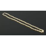 A string of cultured pearls, on silver bow shaped clasp.