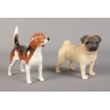 A pair of Beswick dog figures in the form of a Beagle and Pug.
