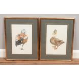 J L Pradera, a pair of gilt framed watercolours, studies of ducks. 32cm x 22cm.