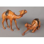 Two leather mounted camels. Including kneeling example, etc.