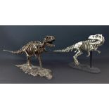 Two dinosaur models of T-Rex on bases