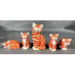 ROYAL CROWN DERBY - a family of five marmalade CATS to include a gold button cat at 14cm tall,