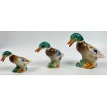 Three non-flying mallard ducks ranging in height from 6 - 12cm