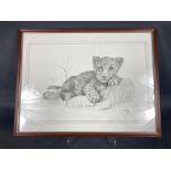 A vintage c1960 framed print of pencil drawing of a lion cub by C