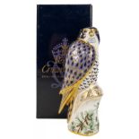 ROYAL CROWN DERBY Peregrine Falcon 2007 gold button first quality in original box