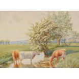 William Sidney Cooper (British 1854-1927) Cattle watering