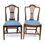 Ten single dining chairs