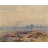 Henry Bowser Wimbush (British 1858-1943) "Triscombe Coombe, The Quantocks", watercolour.