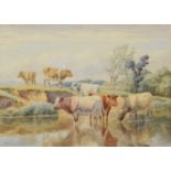 William Sidney Cooper (British 1854-1927) Cattle in a river, watercolour.