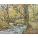 Ralph William Bardill A.R.C.A. (British 1876-1935) "The Glen Streams, Glan Conway", watercolour.