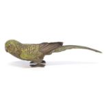 Late 19th century Bergman Austrian bronze figure of a Parakeet