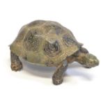 Cold Painted Bronze Figure of a Tortoise Franz Bergman