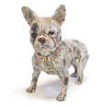 Cold Painted Bronze Figure of a French Bulldog Franz Bergman