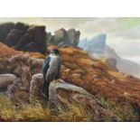 D.S. Harris (20th/21st century) A peregrine falcon in a mountainous landscape