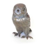 Cold painted bronze owl
