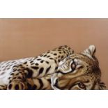 Darryn Eggleton (South African 1981-) Cheetah