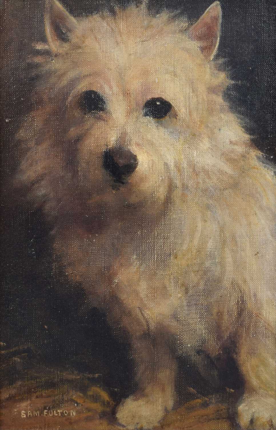 Samuel Fulton (British 1855-1941) Portrait of a terrier