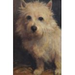 Samuel Fulton (British 1855-1941) Portrait of a terrier