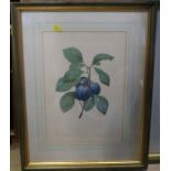 A collection of decorative framed prints
