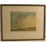 Alice Barnwell, coloured engraving, The Wolds, sheep in landscape, Artist Proof stamp, 9.5ins x