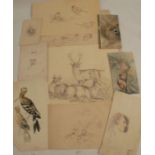 10 sketches by the Royal Worcester Porcelain artist George Johnson. George Brownell Johnson was born