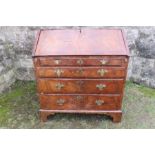 An 18th century burr walnut bureau, with 36ins x depth 20.5ins x height 40ins