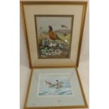 Mary Elliot Lacey, two watercolours, Red Crested Merganzers, 6.5ins x 9ins and Pheasant on Stone