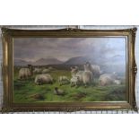 Charles Jones, oil on canvas, landscape with sheep, 24ins x 41.5ins