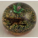 A Perthshire lizard paperweight, by William Manson, diameter 9.5cm, height 7cm - good condition,