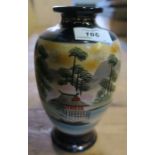 An Oriental vase, height 8ins