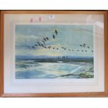 Peter Scott, colour print, geese in flight, signed in pencil, 16ins x 22ins