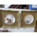 Two Christopher Hughes framed plates, decorated with birds of prey, diameter 8.5ins