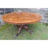 A 19th century burr walnut oval loo table, raised on a turned column, terminating in four outswept