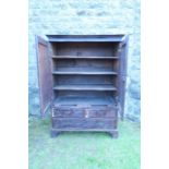 A 19th century oak press cupboard, having heavily carved doors opening to reveal shelves, raised