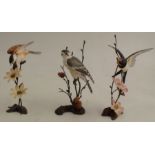 Three Royal Worcester bronze and porcelain models, of birds with flowers